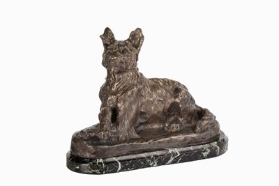 Il Terrier