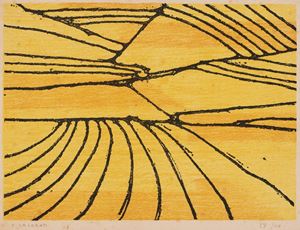 Campi di Pavarolo, 1954