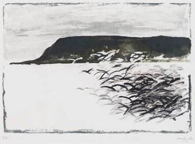 Mare e Gabbiani