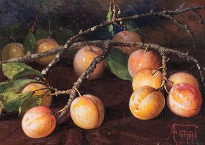 Coppia di Nature Morte