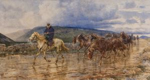 Buttero e cavalli sotto la pioggia