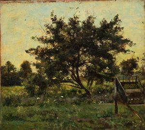 Carretto in campagna