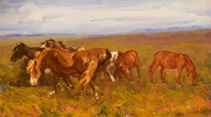 Cavalli nella campagna romana