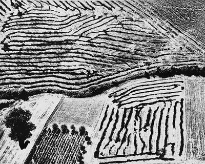 Motivo astratto nel terreno di Simone, 1981/1983