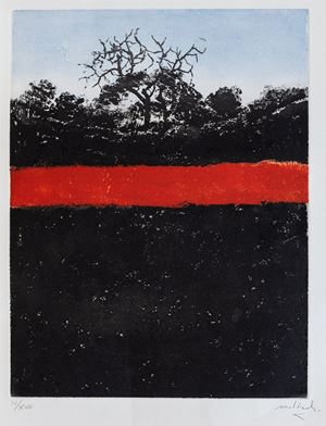 Alberi