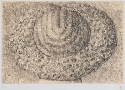 Indèfrisable, 1963 - 1982
