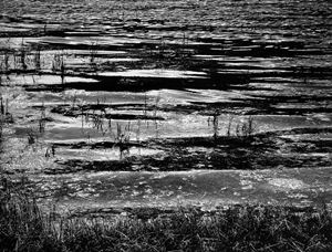 The mind place, dalla serie "Archeologia