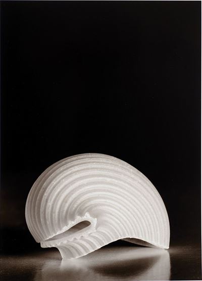 Conchiglie rigate #03, 2015 - Stampa digitale