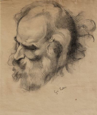 Testa Virile