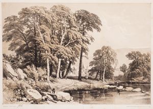 The Park and the Forest