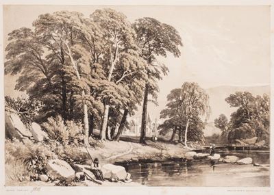Harding, The Park and the Forest - Prima edizione con 26 litografie
