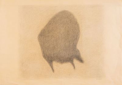Grande bisonte, grafite su carta