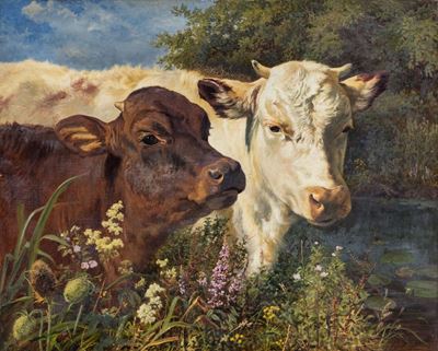 Due Mucche, 1883