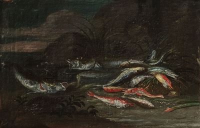 Triglie, sardine e altri pesci con una tartaruga, olio su tela applicata su tavola