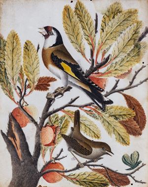 Un cardellino e un passerotto  su ramo di corbezzolo