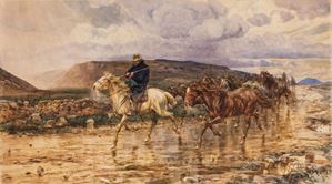 Buttero e cavalli sotto la pioggia