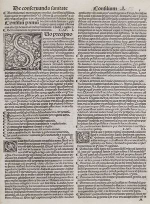 Consilia. Tractatus tres de balneis patauinis. De compositione et dosi medicinarum. Antidotarium. Ed. Jacobus de Vitalibus