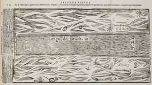 De re agraria responsa mere juridica, atque ad usum italicum maxime accommodata [...]. Pars prima [-tomus secundus]