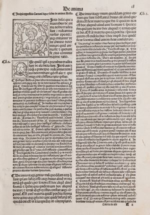 Caietanus Super anima [...] cum duplici textus translatione: antiqua s. & Ioannis Argiropyli