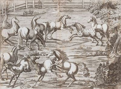 Georg Simon Winter, Tractatio nova de re equaria