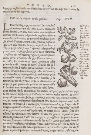 Prima edizione italiana, una delle migliori cinquecentesche, di questa celebre opera che tratta di agricoltura, dei lavori della campagna, arboricoltura, vino e viticoltura (tutto il secondo libro riguarda le qualità e i tipi di vino e di uva, descrive i vini più famosi, dà consigli sulle cantine e le botti), gli animali domestici e loro malattie, gli alimenti, le proprietà delle erbe e il loro utilizzo in medicina e in cucina. Libro di agricoltura utilissimo, tratto da diversi auttori