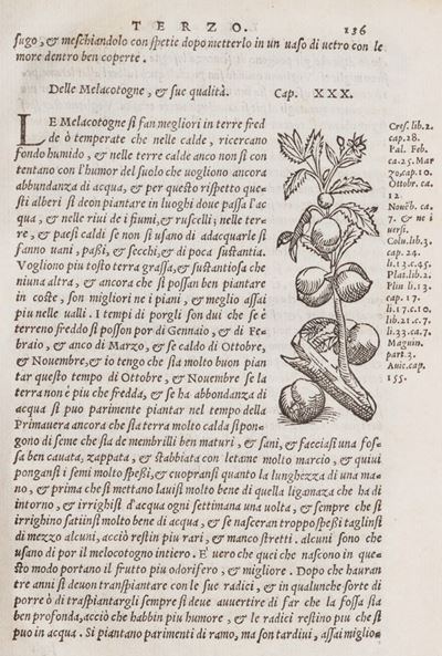 Libro di Agricoltura Utilissimo, Tratto da Diversi Auttori