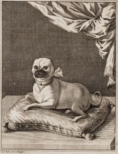 Scherzi Poetici per Bellissima Cagnuoletta della Nobil Donna la Signora Marchese Leonora Cocastel...