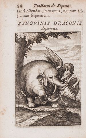 Viatorium, hoc est, De montibus planetarum septem, seu metallorum