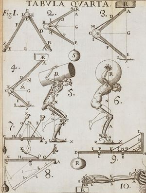 De motu animalium