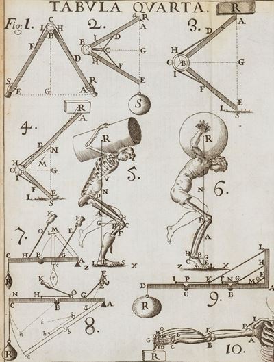 De Motu Animalium