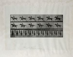 Muybridge Eadweard - Animal Locomotion Plate n° 631
1887
Coll