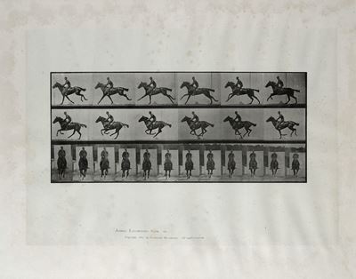 Animal Locomotion Plate n° 631, collotipia originale del 1887