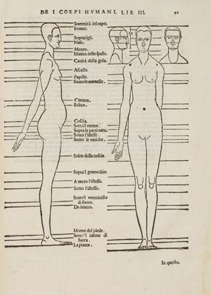 Della simmetria dei corpi humani, libri quattro