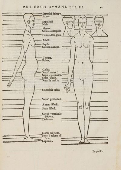 Durer, Della simmetria dei corpi humani, libri quattro, Prima edizione italiana, 1591