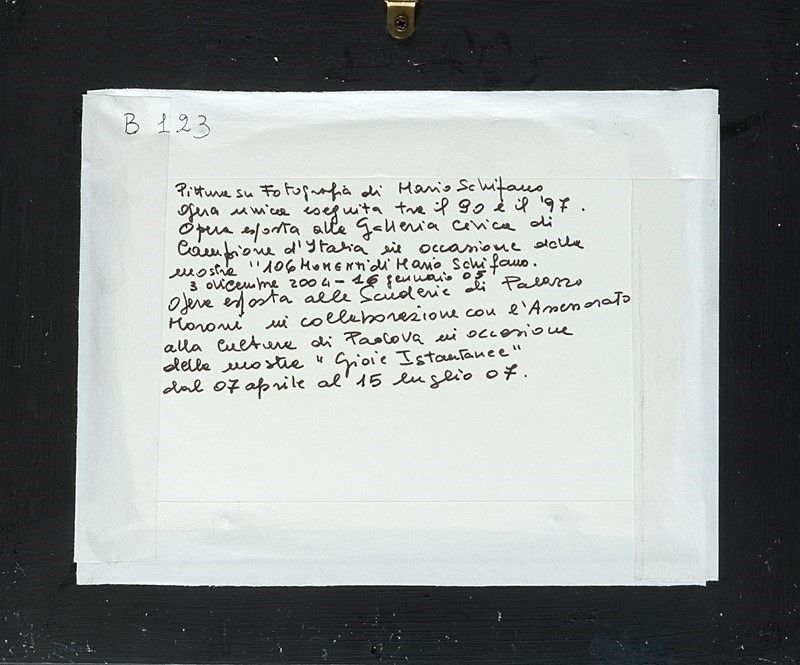Mario Schifano - Senza titolo (albero), 1990-1997, tecnica mista su fotografia