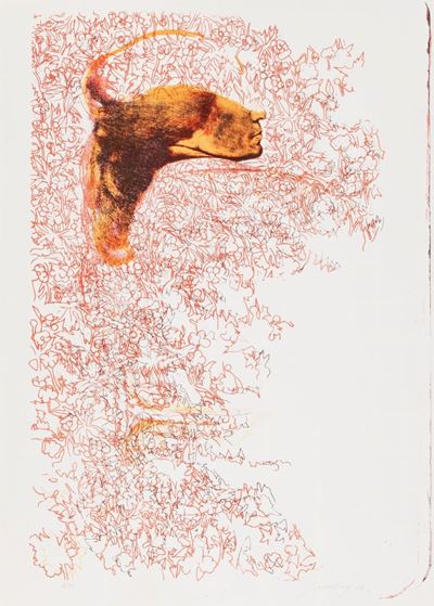 Rossana, litografia a colori (edizione 4/100), 1968