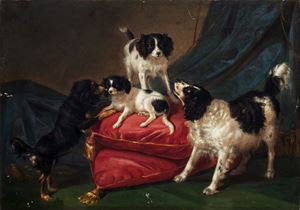 Puppies in the parlour
