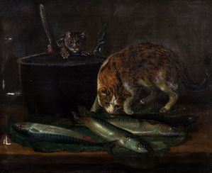 Assault to the kitchen