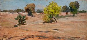 Paesaggio di Fardapur, India