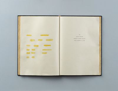 Antidoto, 1985, tecnica mista su tavola, libro e plexiglass