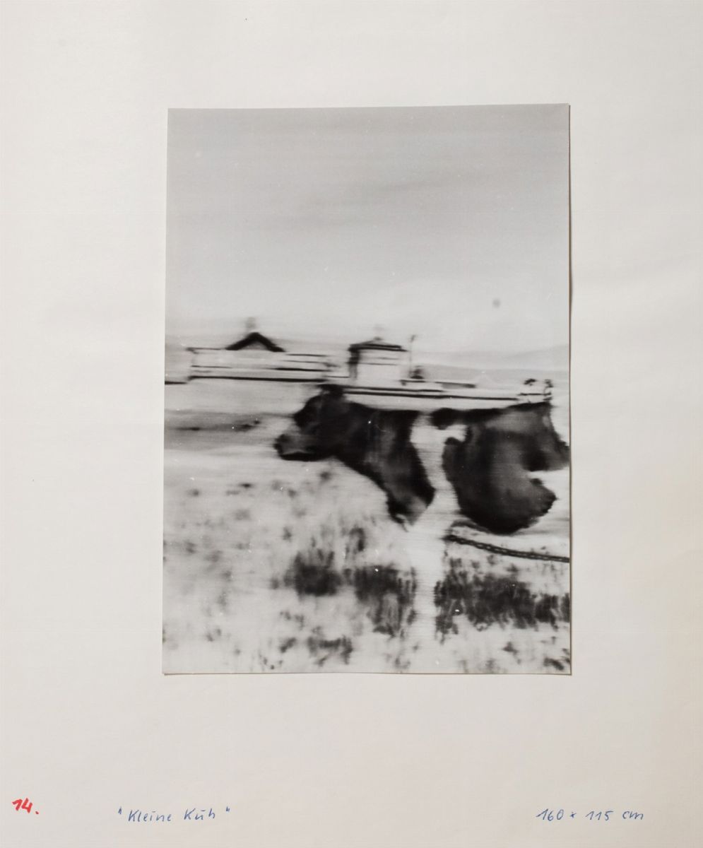 Gerhard Richter - Progetto per la mostra alla galleria La Tartaruga - fotografie stampate a gelat...