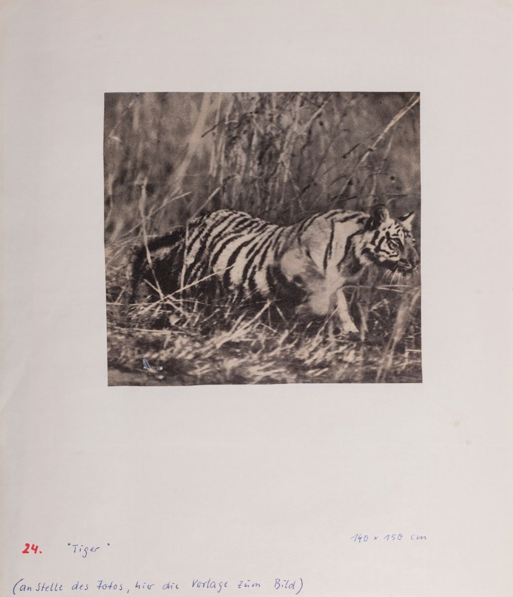 Gerhard Richter - Progetto per la mostra alla galleria La Tartaruga - fotografie stampate a gelat...