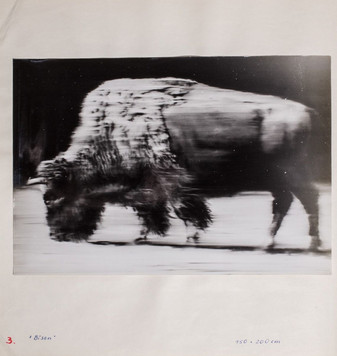 Gerhard Richter - Progetto per la mostra alla galleria La Tartaruga - fotografie stampate a gelat...