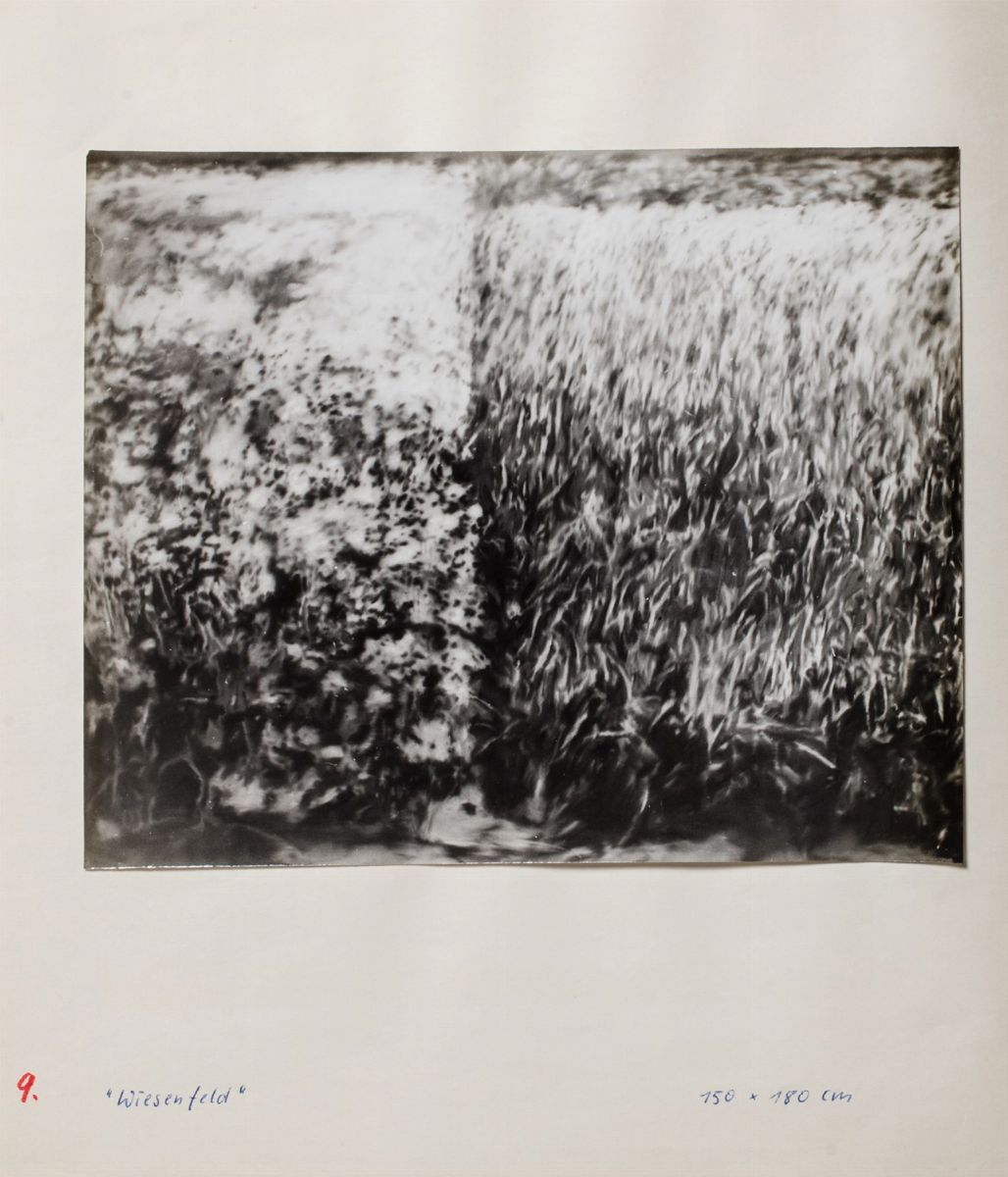 Gerhard Richter - Progetto per la mostra alla galleria La Tartaruga - fotografie stampate a gelat...