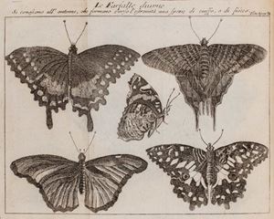 Lo spettacolo della natura, esposto in varj dialoghi concernenti la storia naturale...