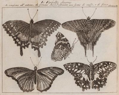 Pluche, Lo spettacolo della natura - Enciclopedia illustrata della storia naturale