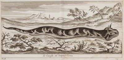 Tachard, Voyage de Siam - Edizione originale del 1686