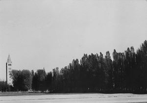 Pomposa, 1975
Stampa vintage alla gelati