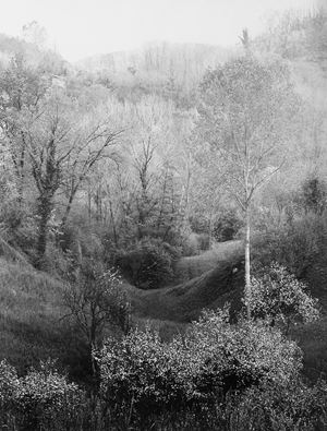 Asolo
Stampa in bianconero ai sali d'arg