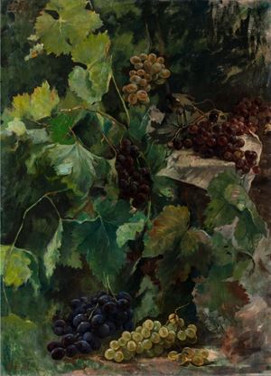 Grapes study